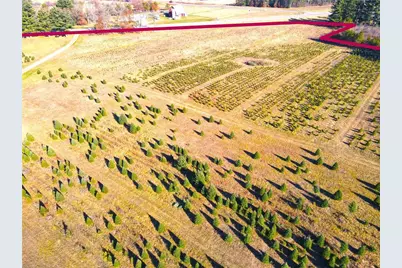 W13090 Shady Glen Rd., Hixton, WI 54635 - Photo 40