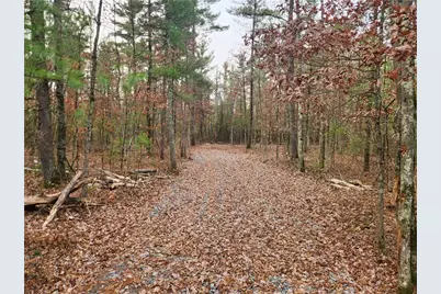 N10321 County Road K, Merrillan, WI 54754 - Photo 1