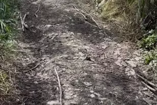 N850 Hamilton Falls Rd, Stanley, WI 54768 - Photo 24