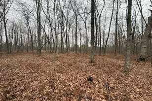 N850 Hamilton Falls Rd, Stanley, WI 54768 - Photo 12