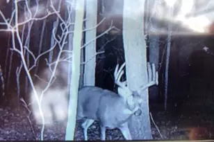 N850 Hamilton Falls Rd, Stanley, WI 54768 - Photo 20