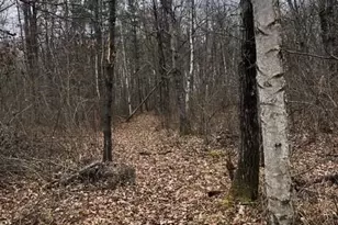 N850 Hamilton Falls Rd, Stanley, WI 54768 - Photo 22