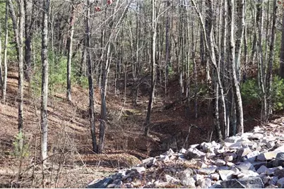 N8724 Lakeside Road, Willard, WI 54493 - Photo 18