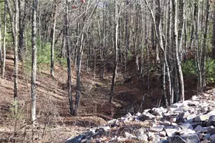 N8724 Lakeside Rd, Willard, WI 54493 - Photo 18