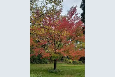 E6004 510th Avenue, Menomonie, WI 54751 - Photo 10