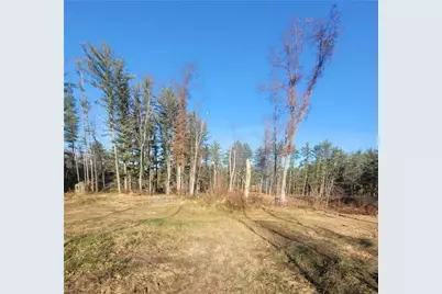 0 Lower Lake Dr, Merrillan, WI 54754 - Photo 14