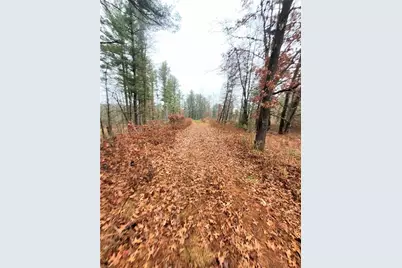 0 Lower Lake Dr, Merrillan, WI 54754 - Photo 4