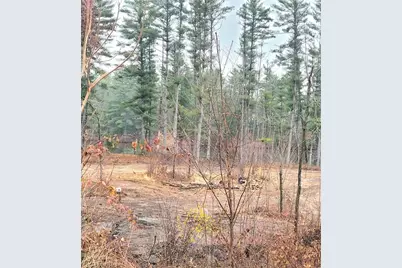 0 Lower Lake Dr, Merrillan, WI 54754 - Photo 18