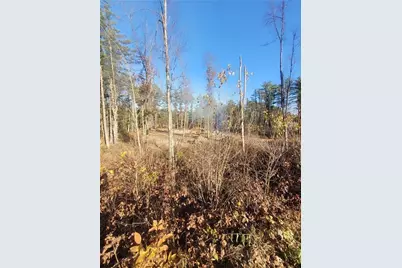 0 Lower Lake Dr, Merrillan, WI 54754 - Photo 12