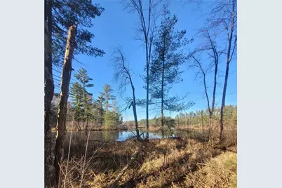 0 Lower Lake Dr, Merrillan, WI 54754 - Photo 34