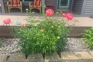 2061 10th Ave, Star Prairie, WI 54026 - Photo 38