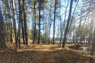 W10362 Lower Lake Dr, Merrillan, WI 54754 - Photo 48