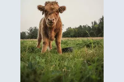 1543 6 1/2 Avenue, Hillsdale, WI 54733 - Photo 32