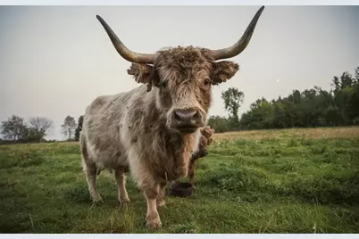 1543 6 1/2 Avenue, Hillsdale, WI 54733 - Photo 36