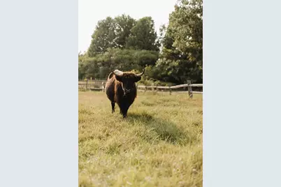 1543 6 1/2 Avenue, Hillsdale, WI 54733 - Photo 26