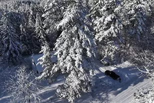 43725 Kavanaugh Rd, Cable, WI 54821 - Photo 22