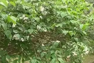 43725 Kavanaugh Rd, Cable, WI 54821 - Photo 34