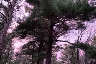 43725 Kavanaugh Rd, Cable, WI 54821 - Photo 30