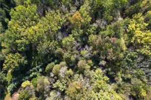 21407 102nd Ave, Cadott, WI 54727 - Photo 10