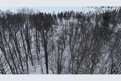 Lot 46 Holly Lake Lane, Stone Lake, WI 54876 - Photo 8