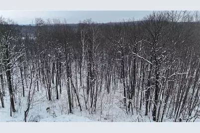 Lot 46 Holly Lake Lane, Stone Lake, WI 54876 - Photo 6