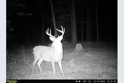 000 Badger Avenue, Granton, WI 54436 - Photo 48