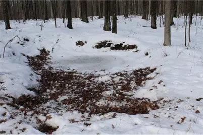 000 Badger Avenue, Granton, WI 54436 - Photo 14