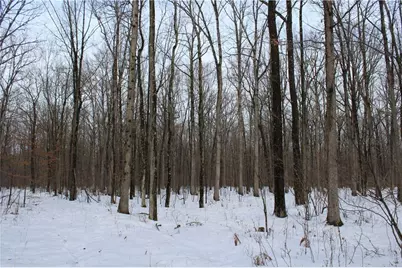 000 Badger Avenue, Granton, WI 54436 - Photo 36