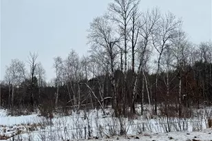 E5712 910th Ave, Colfax, WI 54730 - Photo 36