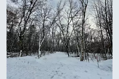 27735 295th Avenue, Holcombe, WI 54745 - Photo 10