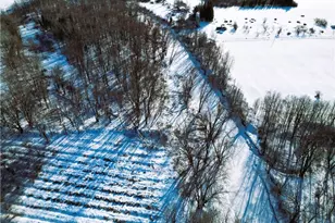 N2639 Vine St, Conrath, WI 54731 - Photo 30