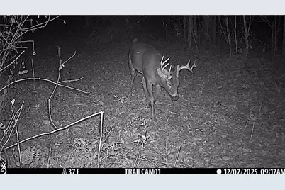 N7785 780th Street, Colfax, WI 54730 - Photo 18