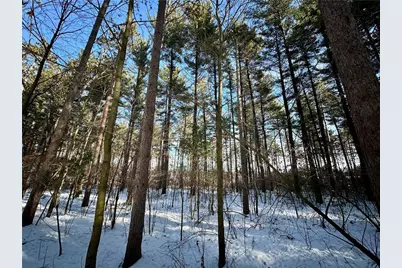 N7785 780th Street, Colfax, WI 54730 - Photo 38