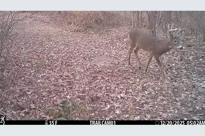 N7785 780th Street, Colfax, WI 54730 - Photo 12