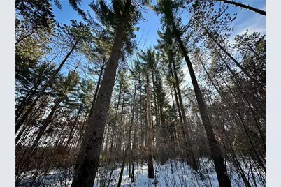 N7785 780th Street, Colfax, WI 54730 - Photo 36