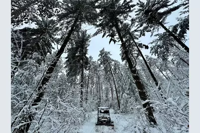 N7785 780th Street, Colfax, WI 54730 - Photo 4