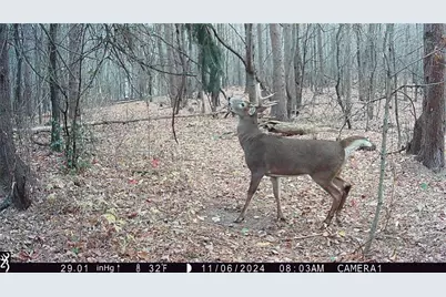 N7785 780th Street, Colfax, WI 54730 - Photo 6