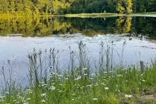 11495 W Tiger Cat Rd, Hayward, WI 54843 - Photo 16