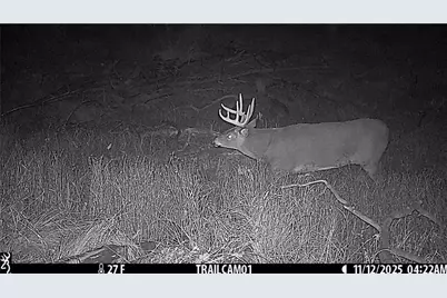 1581 50th Street, Beaver, WI 54889 - Photo 24