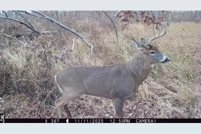 1581 50th Street, Beaver, WI 54889 - Photo 18