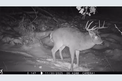 1581 50th Street, Beaver, WI 54889 - Photo 22