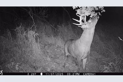 1581 50th Street, Beaver, WI 54889 - Photo 16