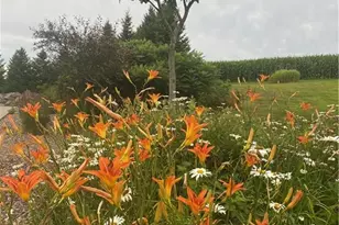 1747 E Drinkman Ln, Eau Claire, WI 54701 - Photo 4