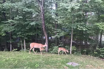 11849 W State Highway 77, Hayward, WI 54843 - Photo 42