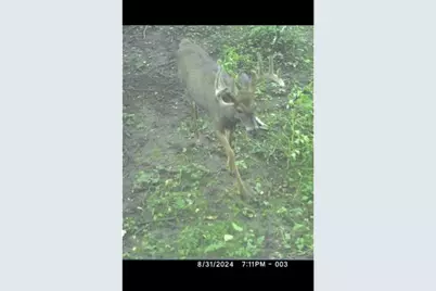 Tbd Highway 8, Almena, WI 54805 - Photo 40