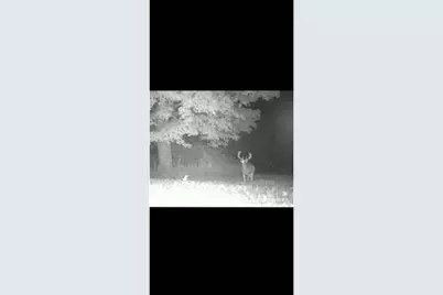 Tbd Highway 8, Almena, WI 54805 - Photo 30