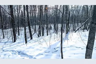 W6660 Cozine Road, Ladysmith, WI 54848 - Photo 50