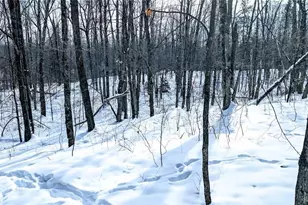 W6660 Cozine Rd, Ladysmith, WI 54848 - Photo 50