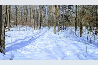 W6660 Cozine Road, Ladysmith, WI 54848 - Photo 44