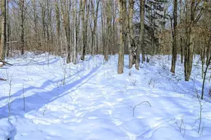 W6660 Cozine Rd, Ladysmith, WI 54848 - Photo 44